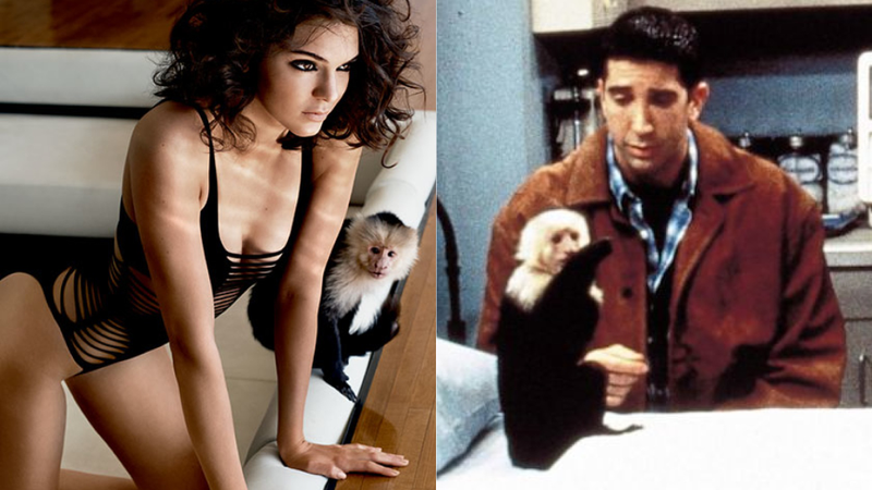 Illustration for article titled Who Loves Marcel the Monkey Best: Ross From Friends or Kendall Jenner?